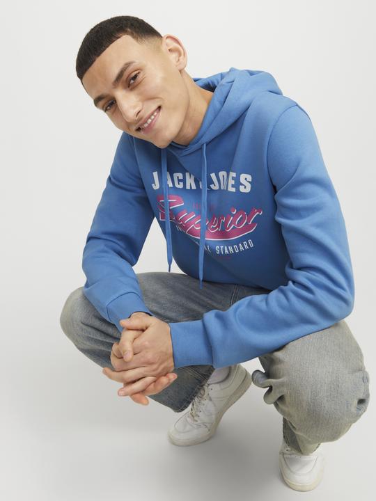 Produktbild Jack & Jones JJELOGO SWEAT HOOD 2 COL 24/25 NOOS (S)