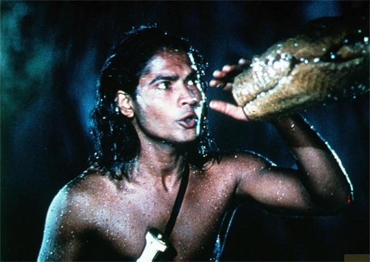 Actual product image Plaion The Jungle Book (Blu-ray, 2022, German, English)