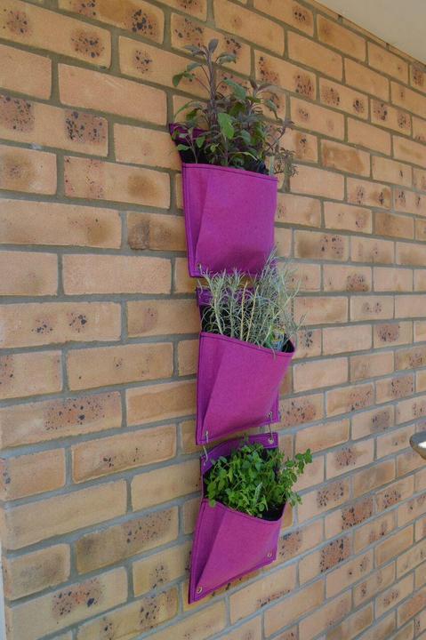 Image du produit VegTrug Mur vivant
