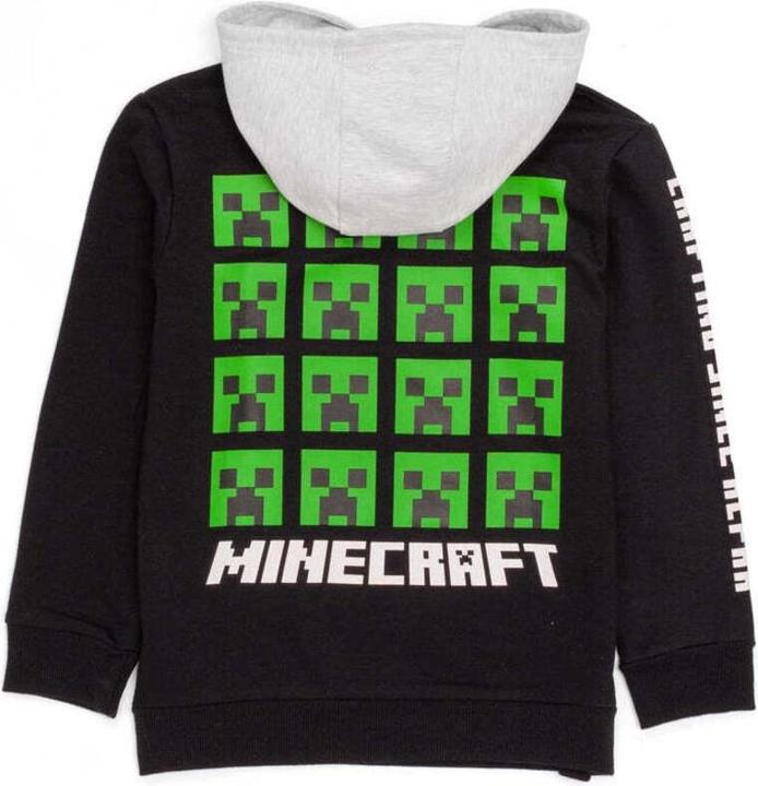 Actual product image Minecraft Boys hoodie (128)