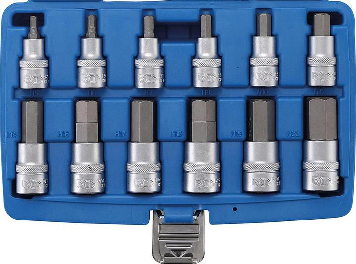 Actual product image BGS Bit insert set (Hexagon socket M5, Hexagon socket M6, Hexagon socket M8, Hexagon socket M10, Hexagon socket M12, Hexagon socket M7, Hexagon socket M14, Hexagon socket M16, Hexagon socket M17, Hexagon socket M18, Hexagon socket M19, Hexagon socket M22)