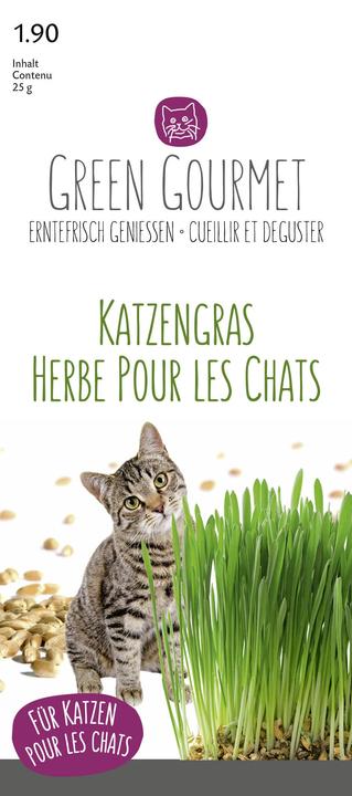 Do it + Garden Herbe à chat (Graines d'herbes aromatiques)
