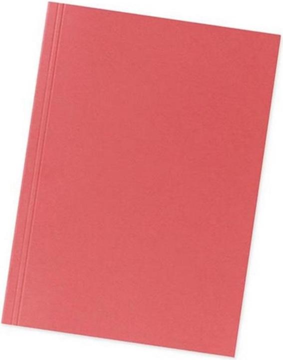 Image du produit Falken Chemises en carton, rouge (A4, 100 x)