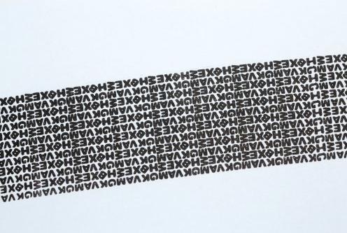 Actual product image Rexel ID Guard