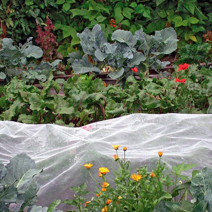 Produktbild Andermatt Biogarten Filbio-Kulturschutznetz