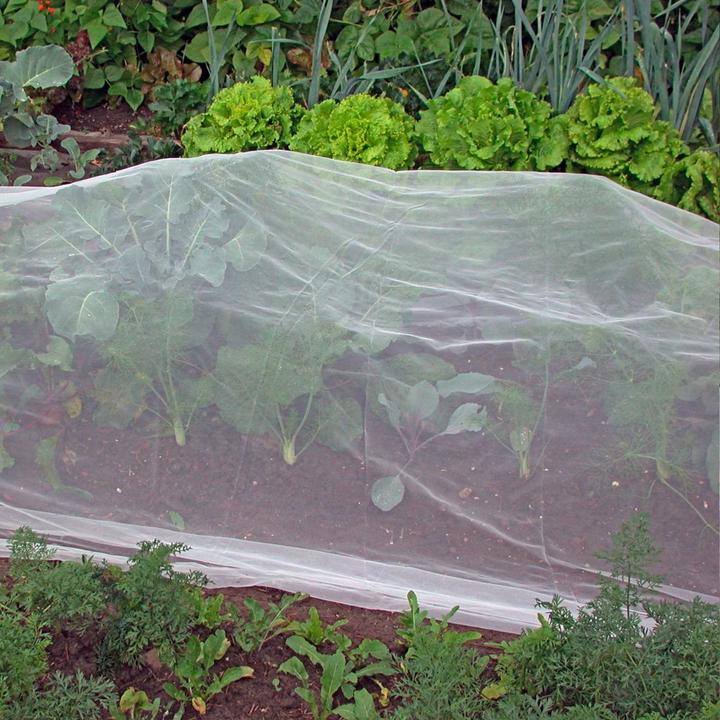 Produktbild Andermatt Biogarten Filbio-Kulturschutznetz