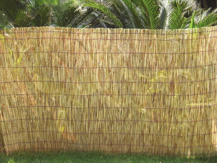 Actual product image Do it + Garden Reed mat (500 cm)