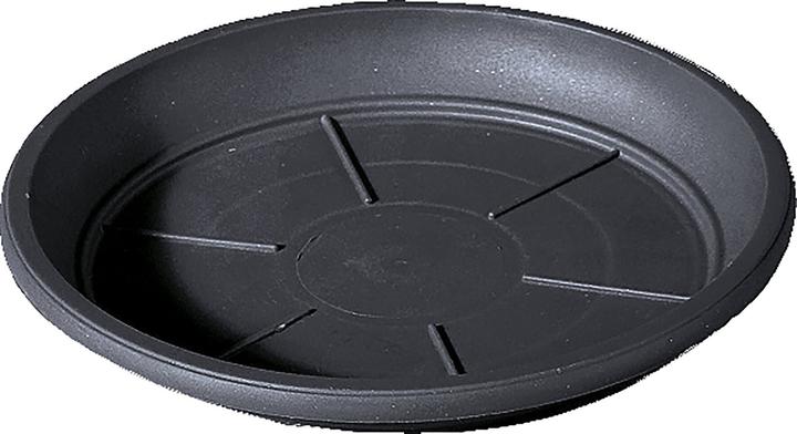 Actual product image Deroma Day R