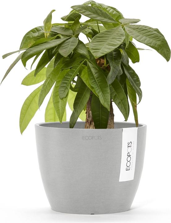 Actual product image Ecopots Stockholm (16 cm)