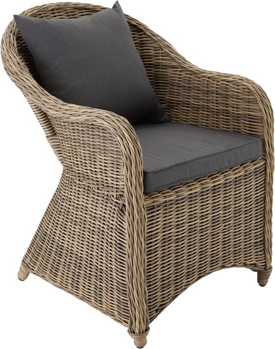 Image du produit tectake Chaise Fauteuil de jardin