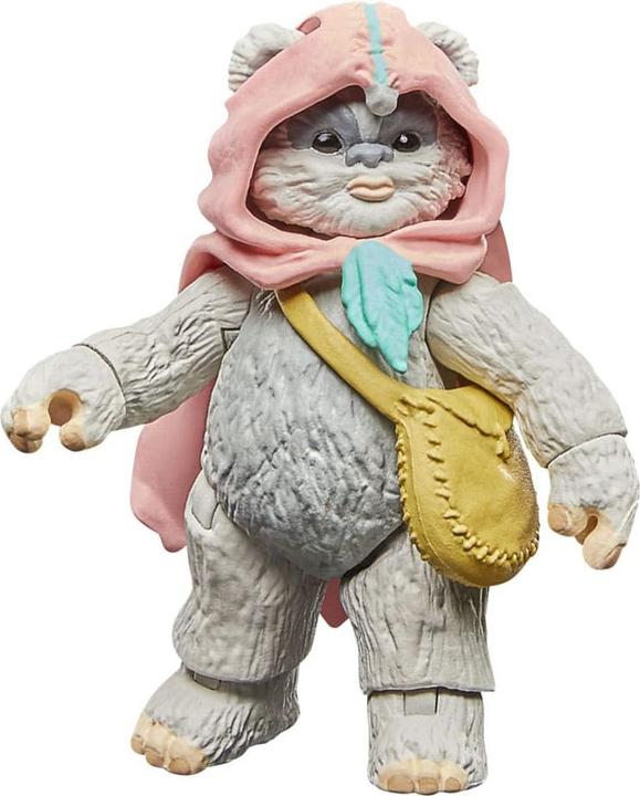 Image du produit Hasbro Star Wars : Ewoks Vintage Collection figurines Wicket W Warrick & Kneesaa 10 cm