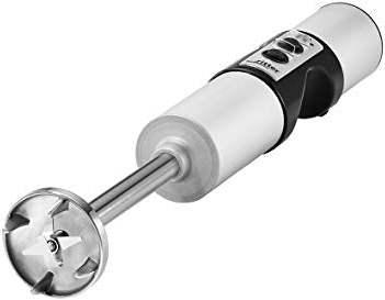 Produktbild Ritter Stabmixer