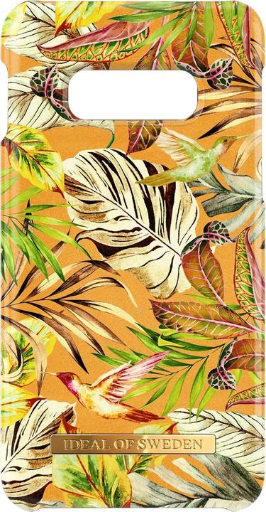 Mango Jungle