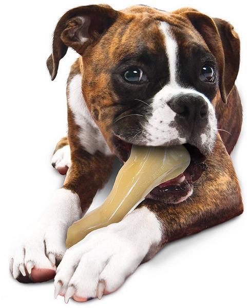 Image du produit Nylabone Extreme Big Chew Beef Bone, 18.5 cm, 360 g (Jouet à mâcher pour chien)