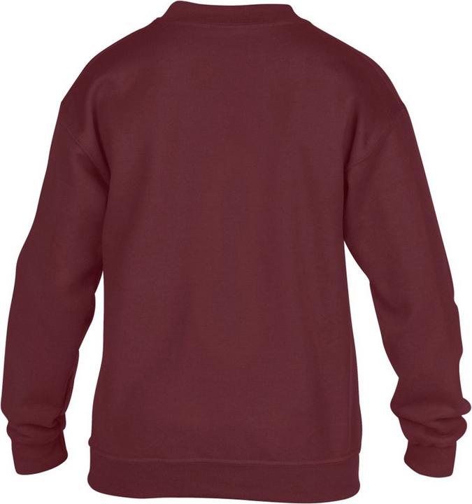 Image du produit Gildan Sweat-shirt à col rond (XL)
