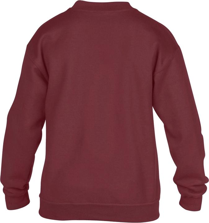 Image du produit Gildan Sweat-shirt à col rond (pack de 2) (M)