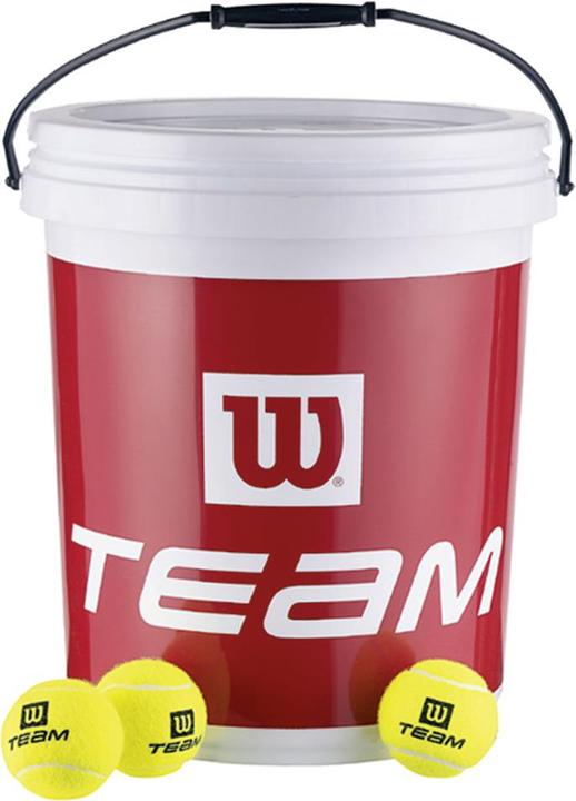 Image du produit Wilson Team W Trainer Balls