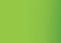 Immagine prodotto Caran d'Ache Acrylic (Può verde, 250 ml)