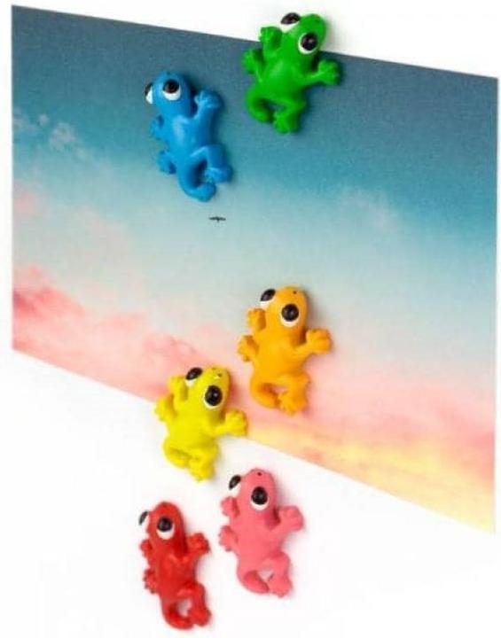 Actual product image Trendform Gecko (6 x)