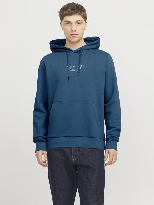Actual product image Jack & Jones Logo hooded jumper Hooded jumper (XS)