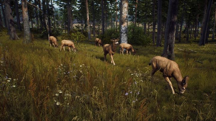 Actual product image THQ Way of the Hunter (PS5, EN, FR, IT)