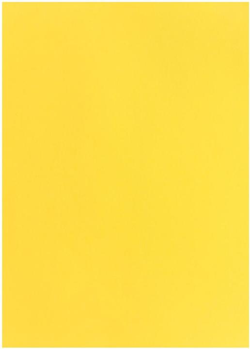 Immagine prodotto Carta Per Foto 50X70, Limone (270 g/m², 1 x)