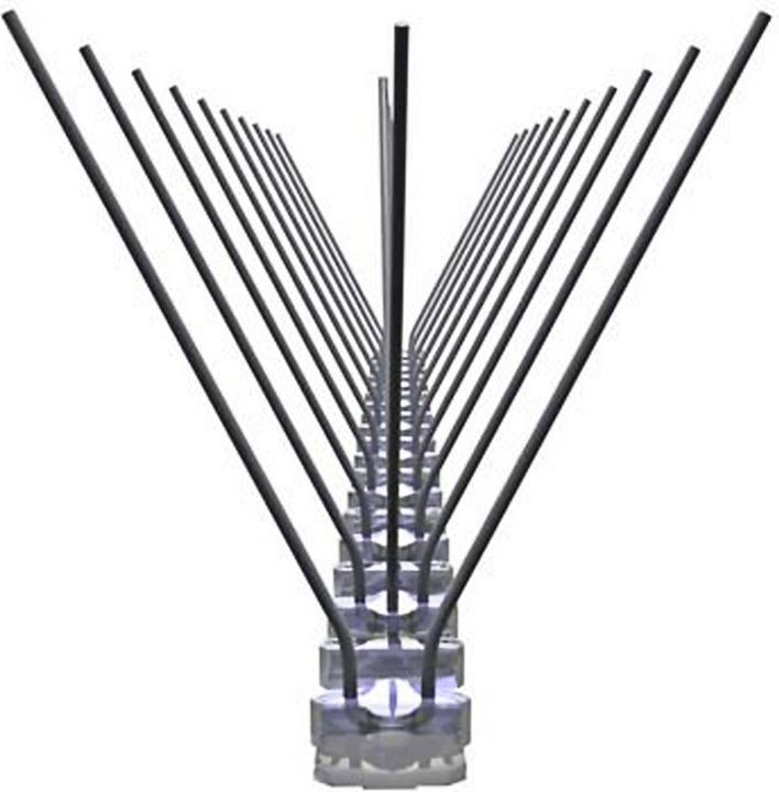 Immagine prodotto Ziwi Set di 5 punte per la difesa dei piccioni, a 3 file con punte in acciaio inox, 2,5 m