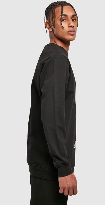 Actual product image Looney Tunes Mens Sylvester Crossed Arms Sweatshirt (XL)