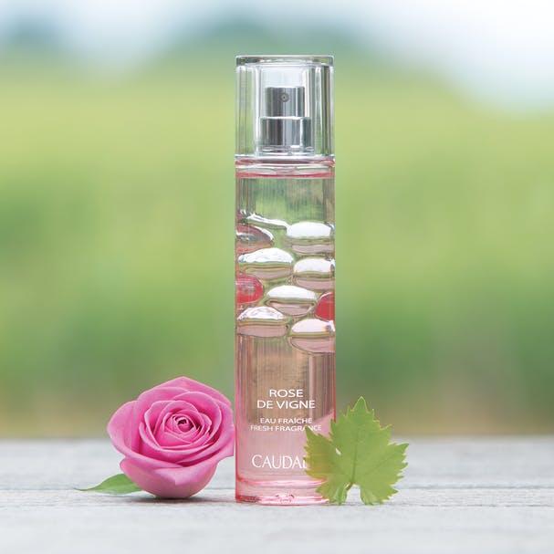 Image du produit Caudalie Rose De Vigne (Eau fraîche, 50 ml)