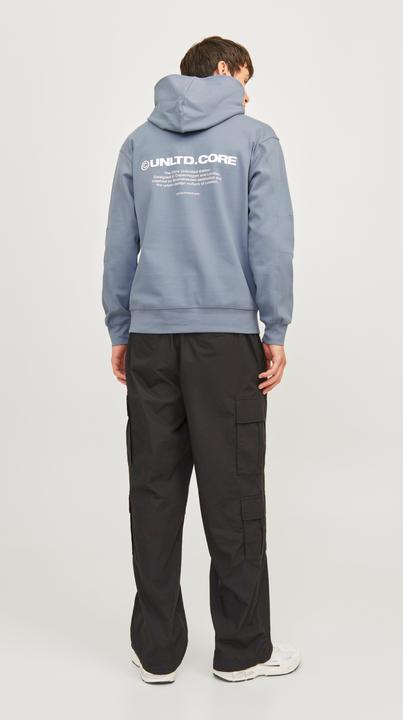 Image du produit Jack & Jones Jcoaero Print Sweat Hood Noos (XXL)