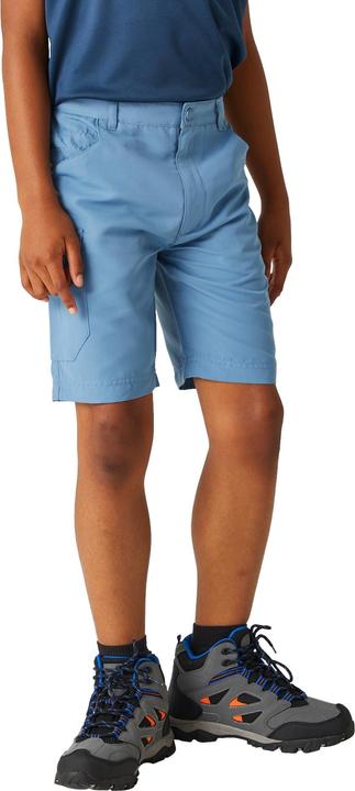 Image du produit Regatta - Short SORCER - Unisexe (116)