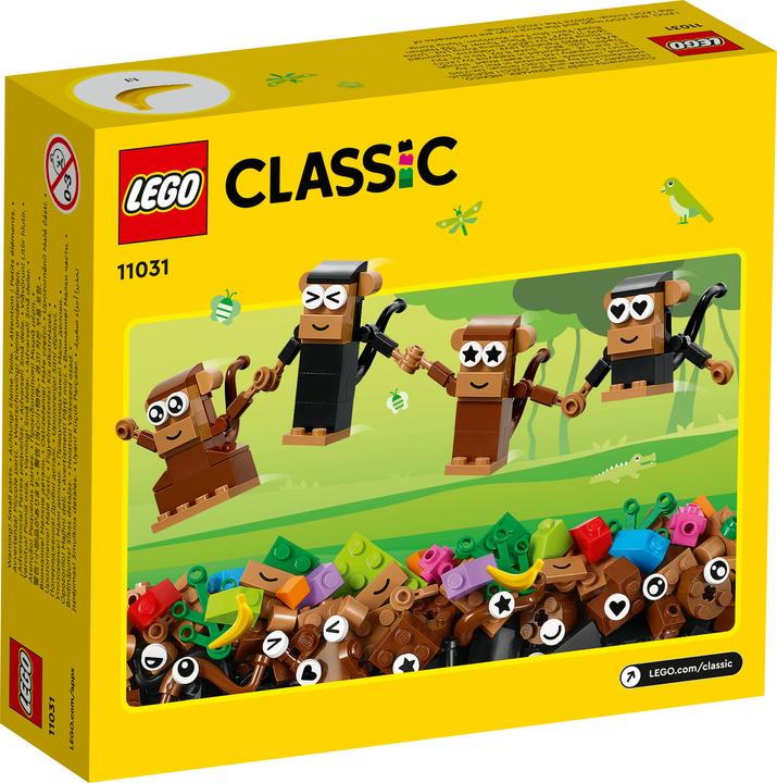 Actual product image LEGO Divertimento creativo - Scimmie (11031, LEGO Classic)