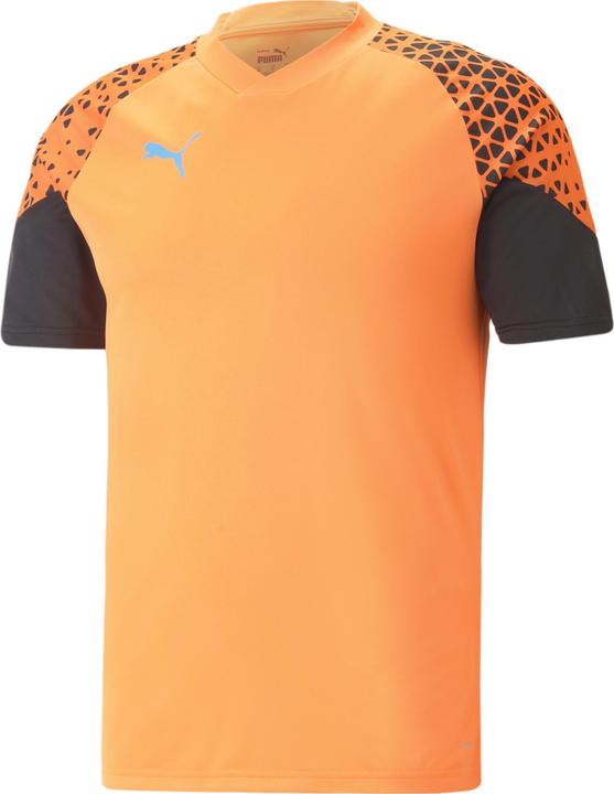Puma individualCUP Training Jersey