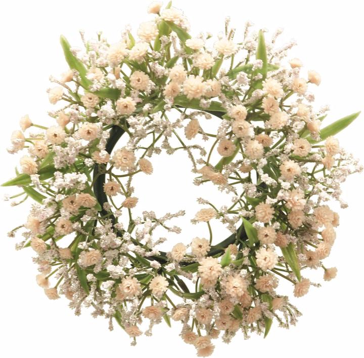 Actual product image Exner Garten und Wohnaccessoires Gypsophila Muralis (1 x)