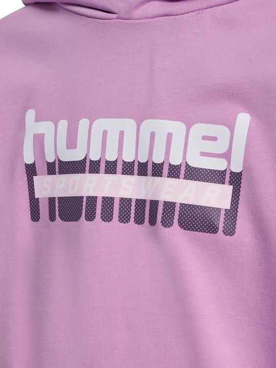 Image du produit hummel hmlTUKAS HOODIE (116)