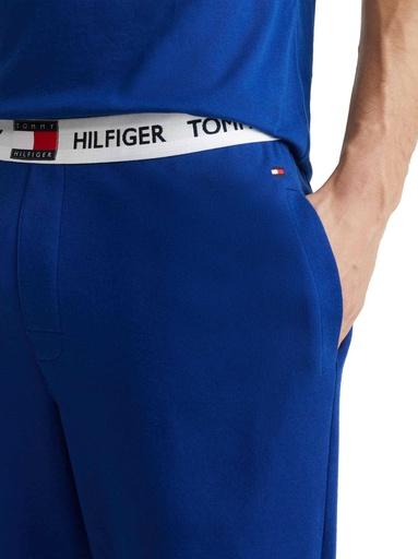 Actual product image Tommy Hilfiger Pants Lwk (L)