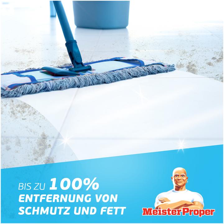 Actual product image Meister Proper Baking soda