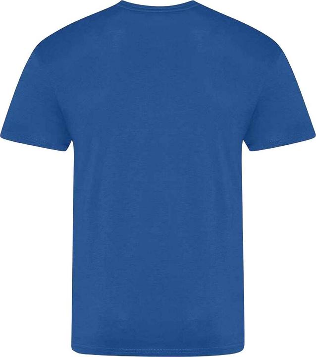 Actual product image Awdis Unisex Adult The 100 T-Shirt (XL)