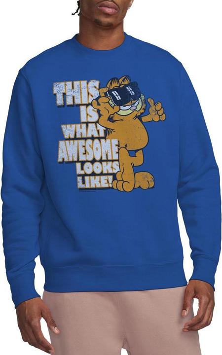 Produktbild Garfield Awesome Sweatshirt (M)