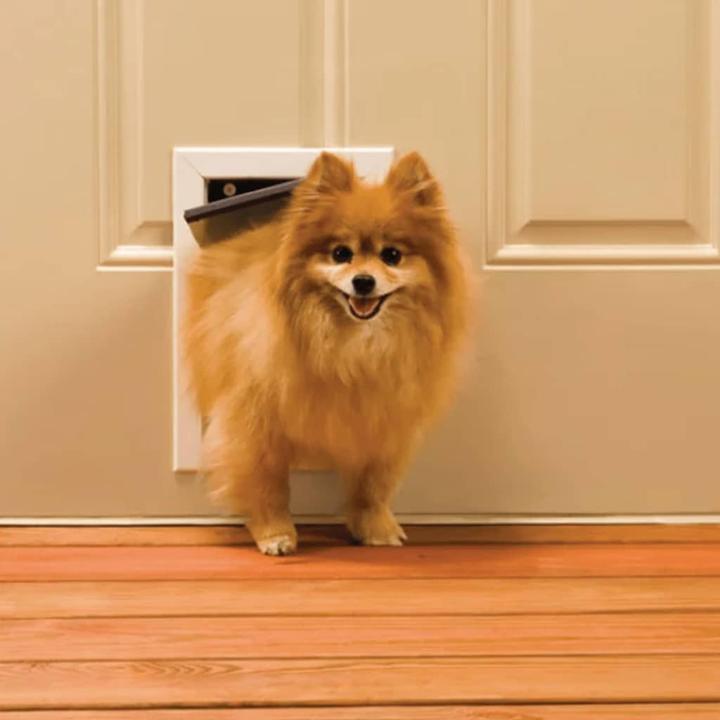 Immagine prodotto PetSafe Katzenklappe (Gattaiola manuale)