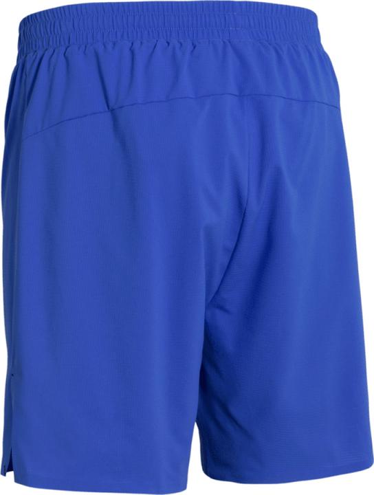 Image du produit Daehlie M Shorts Run 365 (L)
