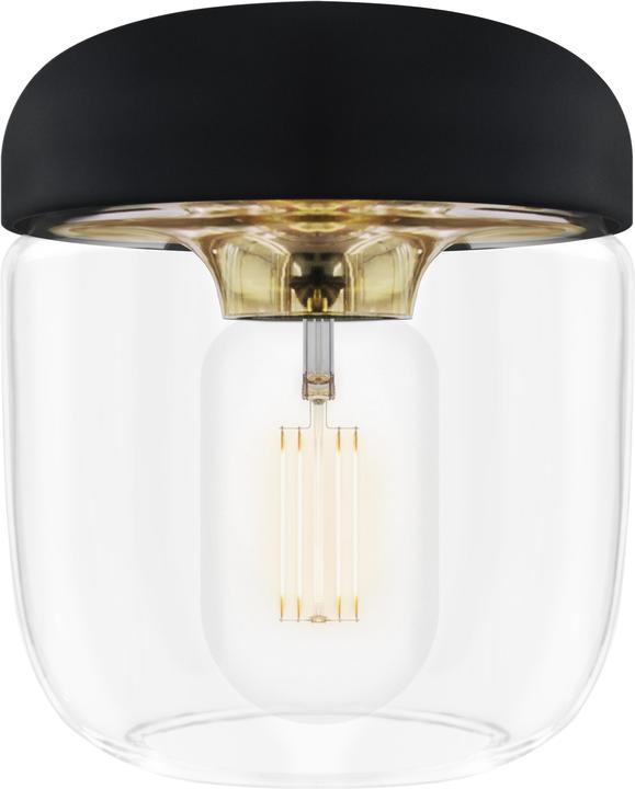 Image du produit Umage Acorn
