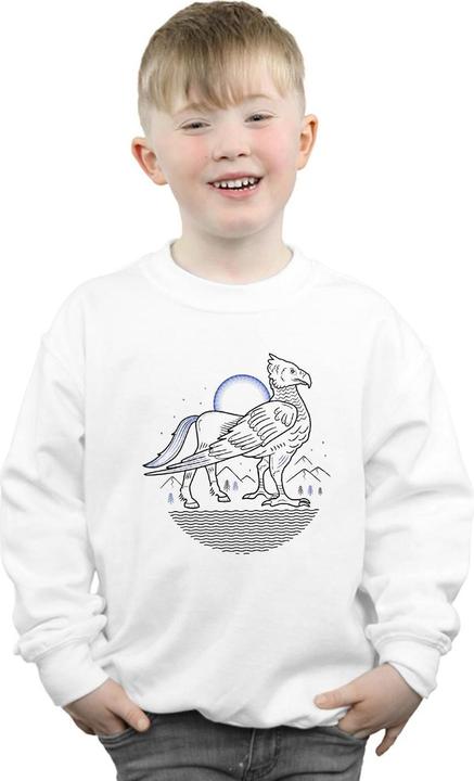 Actual product image Boys Buckbeak Line Art Sweatshirt (140, 146)
