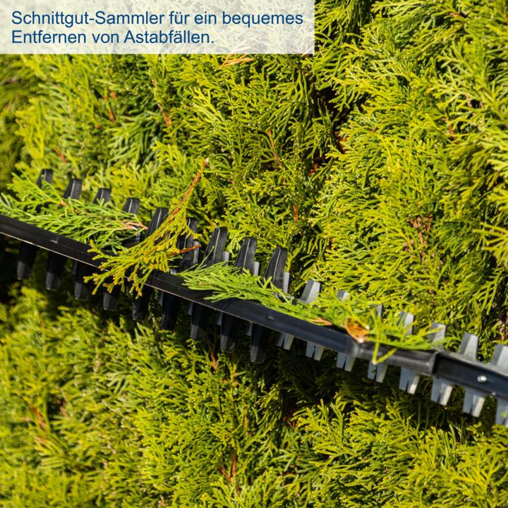 Image du produit Scheppach BC-HT720-X (DIY) (Taille-haies sans fil)