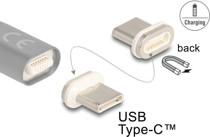 Image du produit Delock Magnetischer Adapter USB Type-C Stecker