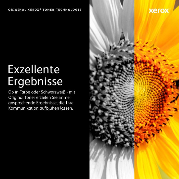 Produktbild Xerox 113r00721 (Y)