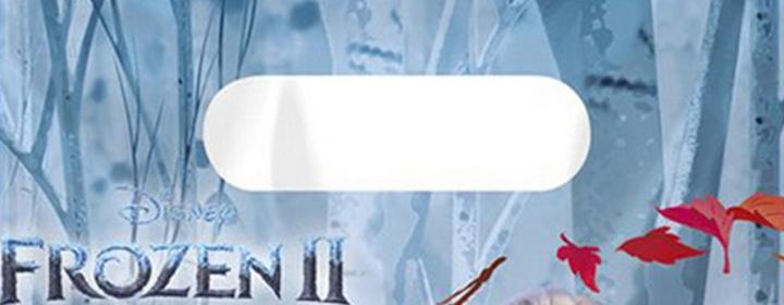 Image du produit Disney Frozen - Sacs cadeaux LA REINE DES NEIGES