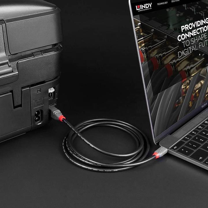 Produktbild Lindy USB C — USB B (2 m, USB 2.0)