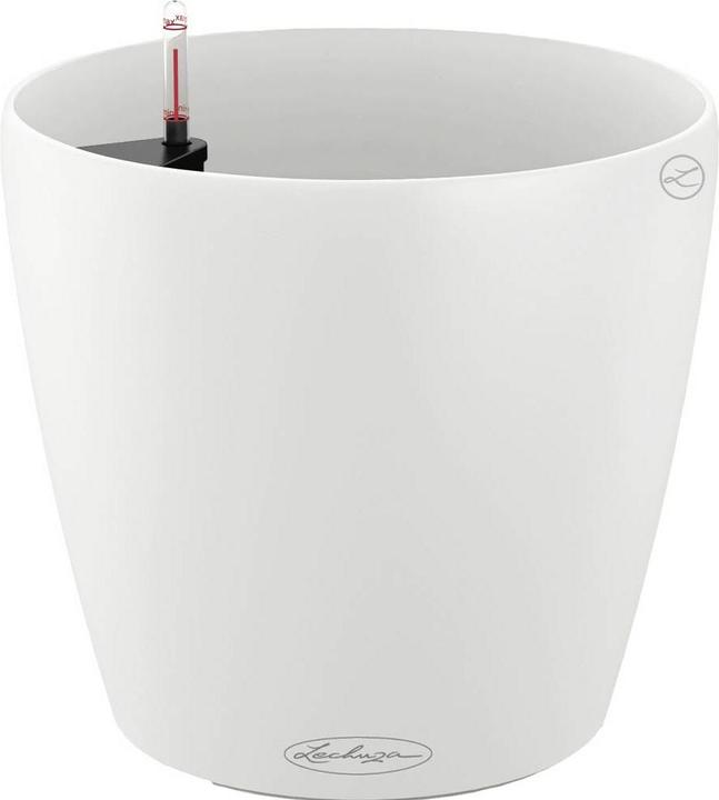 Immagine prodotto Lechuza Colore Classico (21.50 cm)