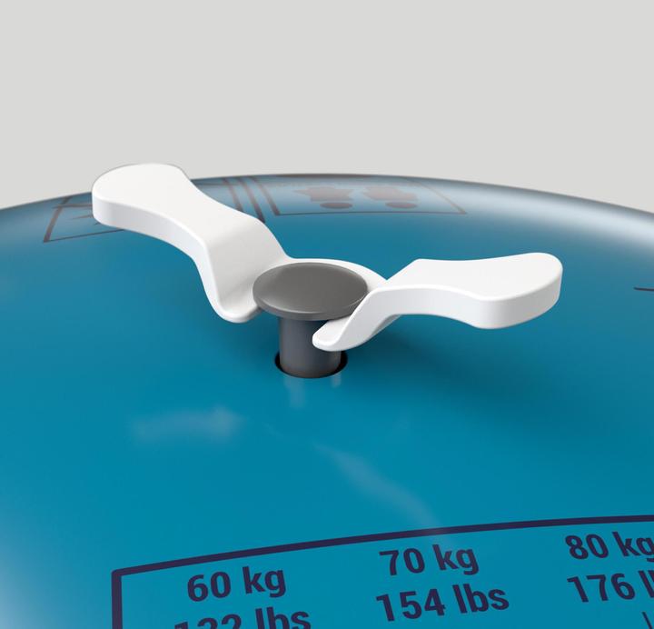 Actual product image Domyos Gym Ball (75 cm)